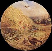 William Dexter, Wheatfield with bird-s nest